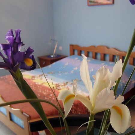 Djurovic Apartments Montenegro โกตอร์ ภายนอก รูปภาพ