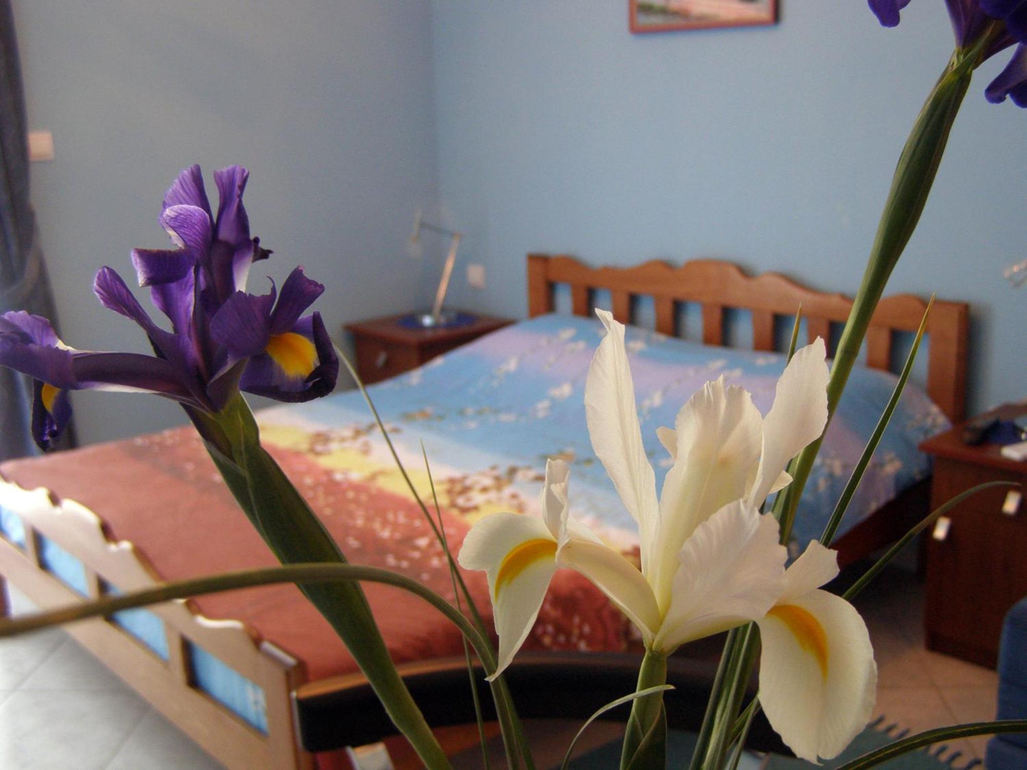 Djurovic Apartments Montenegro โกตอร์ ภายนอก รูปภาพ